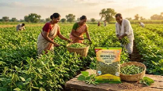 Patanjali Dal