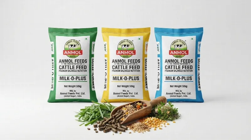 Animal Feed पशु आहार