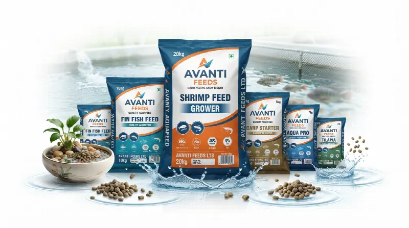Avanti Feeds