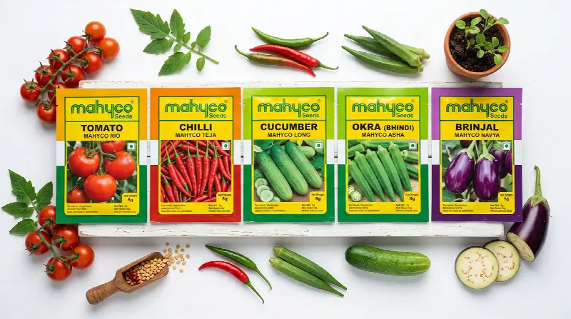 Mahyco Seeds